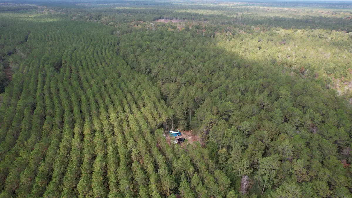 00000000 Gates Rd Road, Daisetta, TX 77533 - Image #1