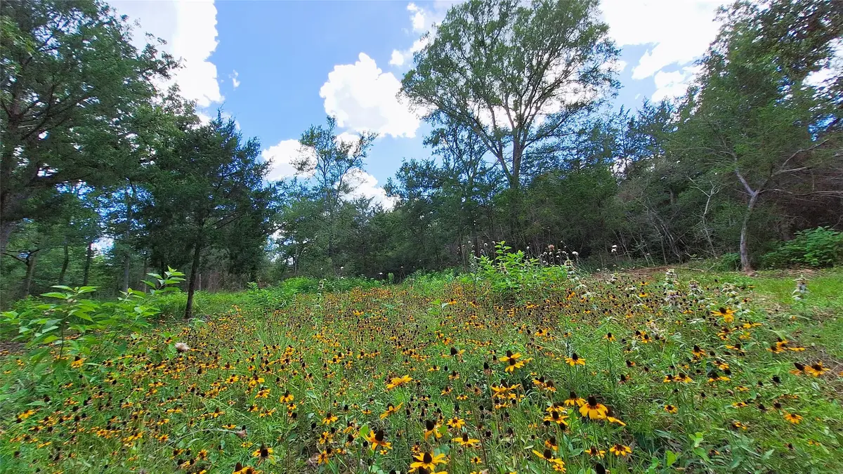 1014 Beaver Lake Drive, Caldwell, TX 77836 - #1