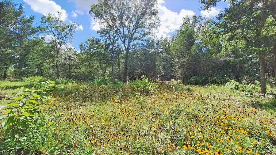 1014 Beaver Lake Drive, Caldwell, TX 77836 - #2