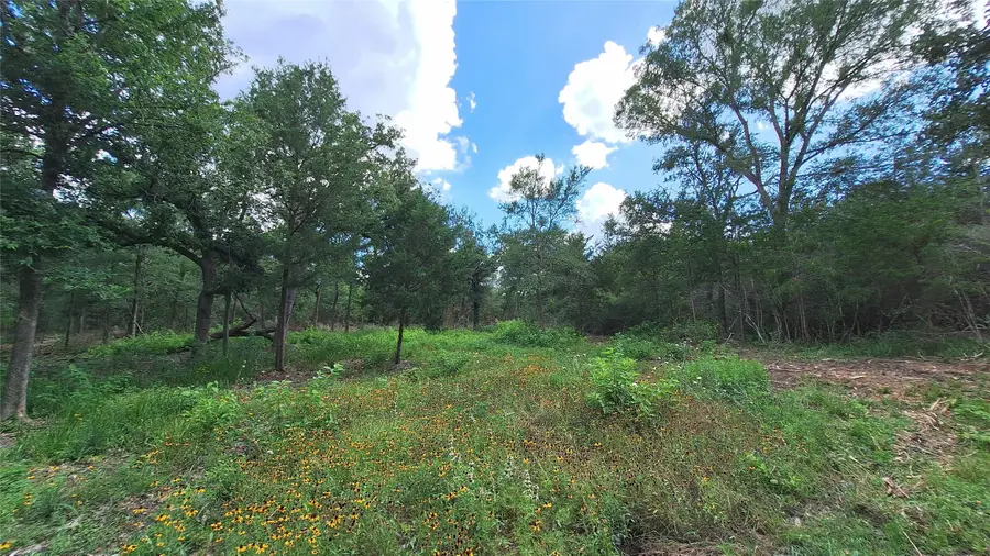 1014 Beaver Lake Drive, Caldwell, TX 77836 - #3