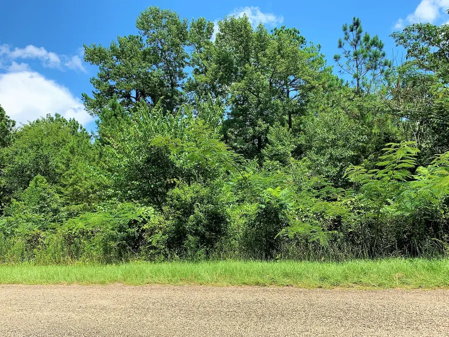 558 County Road 4101, Jacksonville, TX 75766 - #3