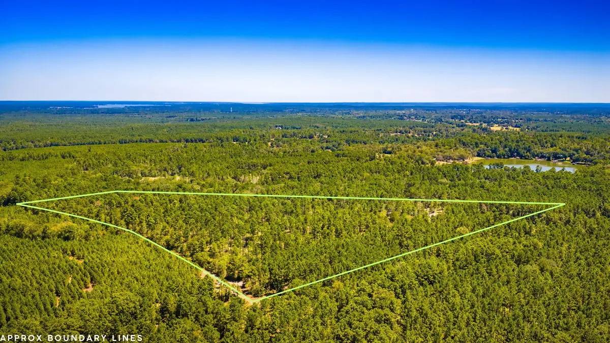 TBD E Lakeview Drive, Trinity, TX 75862 - #1