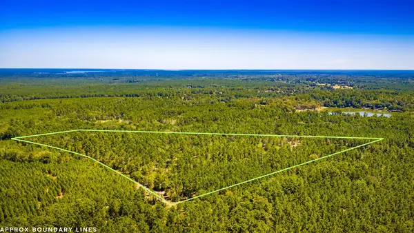 TBD E Lakeview Drive, Trinity, TX 75862