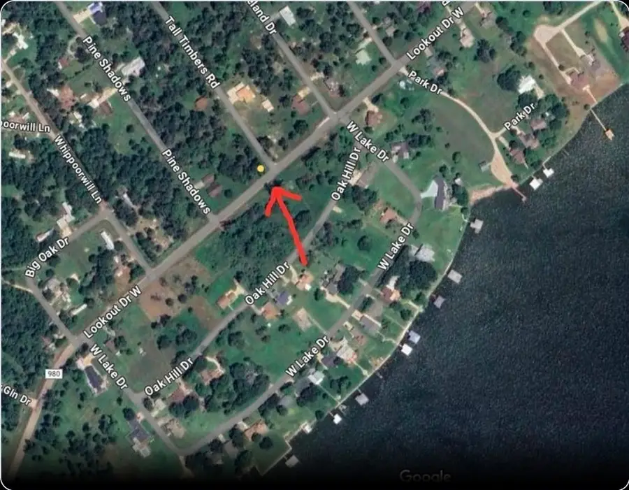 Lot 3 Fm 980 S, Point Blank, TX 77364 - #2