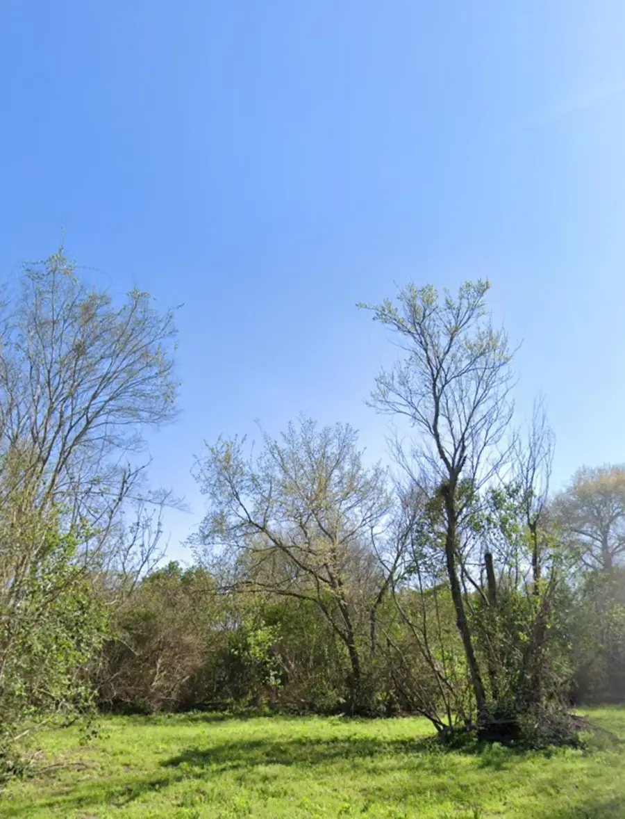 1008 Lane Street, Navasota, TX 77868 - Image #2