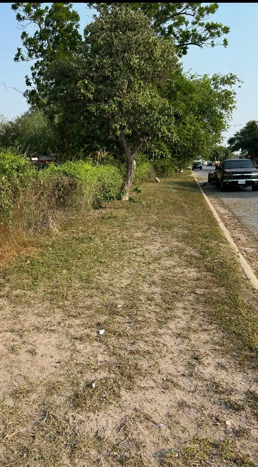 1121 W Jefferson Avenue, Harlingen, TX 78550 - #2