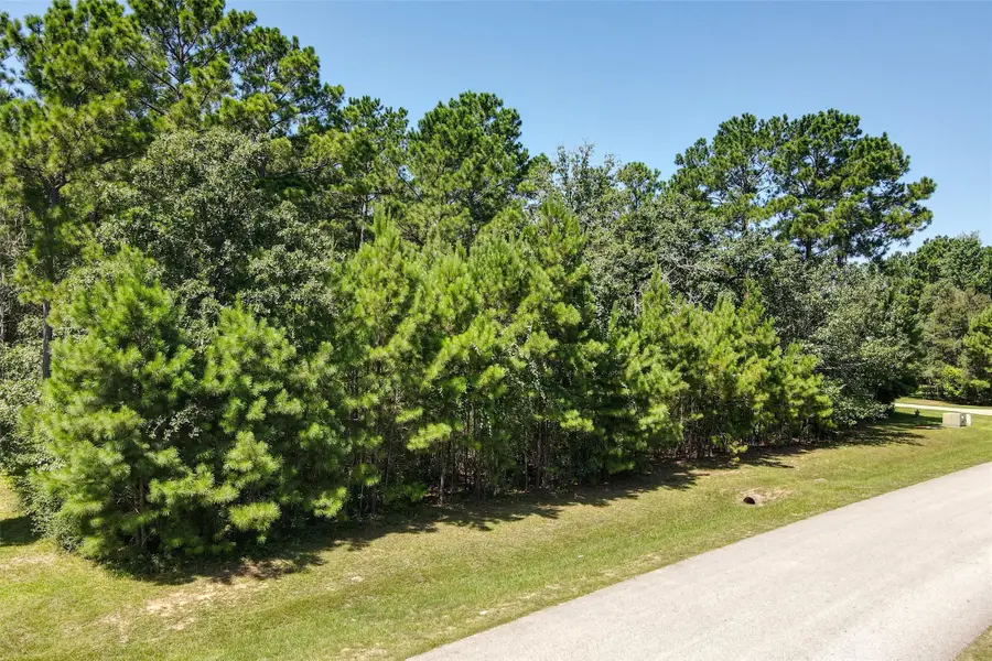 26095 Crown Ranch Boulevard, Montgomery, TX 77316 - #2