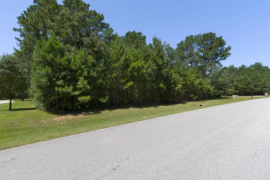 26095 Crown Ranch Boulevard, Montgomery, TX 77316 - #3