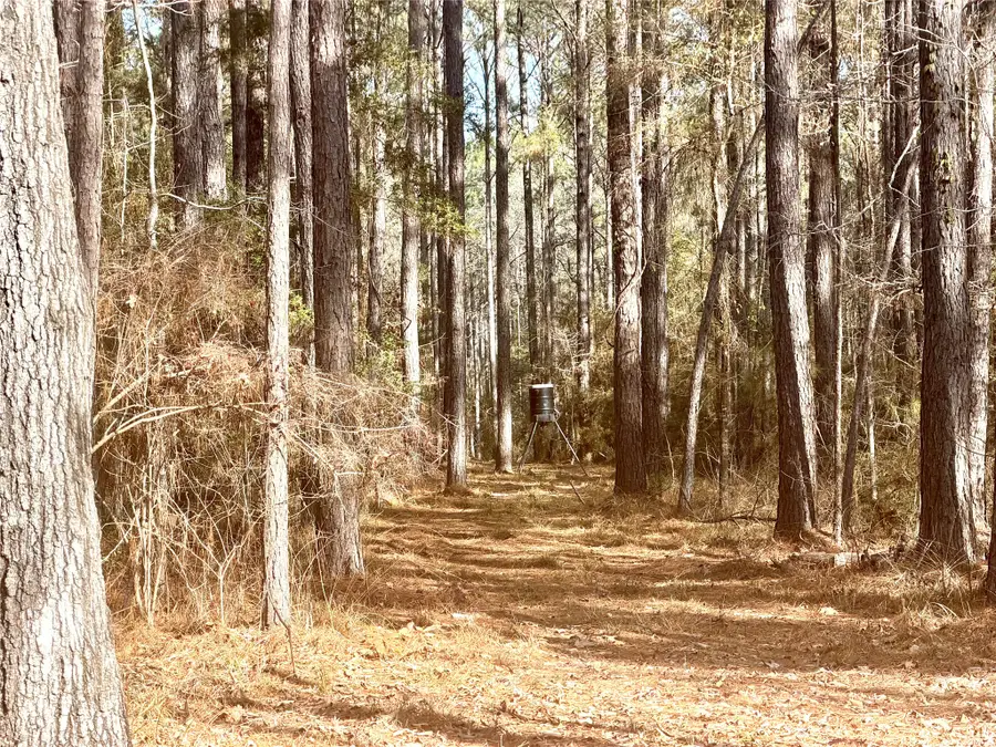 00 Fm 83, Bronson, TX 75930 - #2