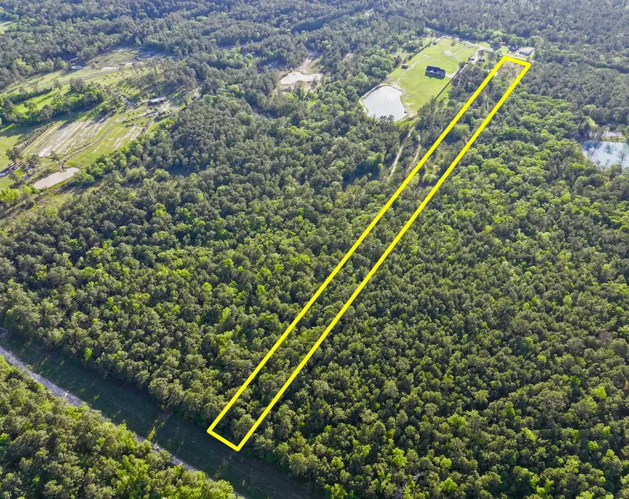 38 Fm 3454, Huntsville, TX 77320 - Image #3