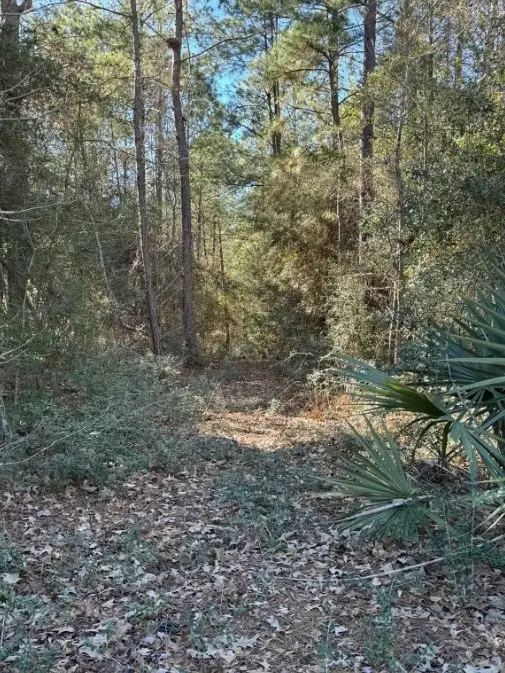 10-22-16 Lonestar Rd Road, Huntsville, TX 77340 - Image #3