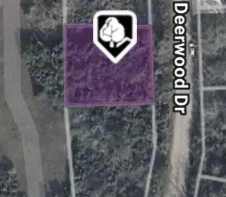 26342 Deerwood Drive, Hempstead, TX 77445 - Image #2