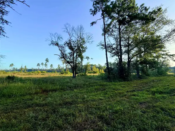 000 Fm 1003, Kountze, TX 77625