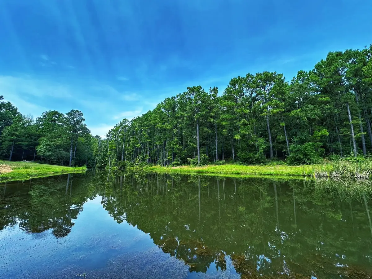 3055 Cr 274, Buffalo, TX 75831 - Image #1