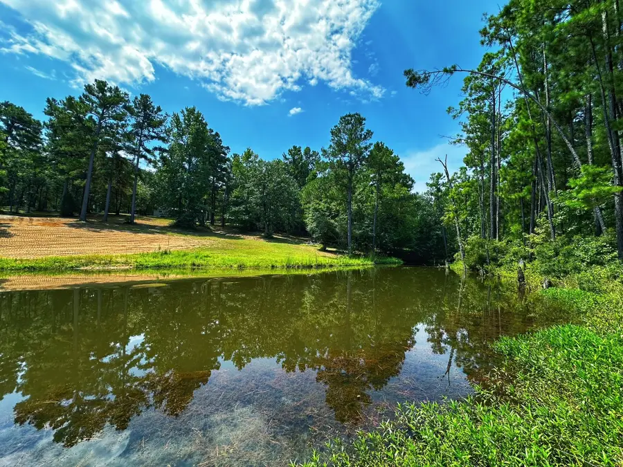 3055 Cr 274, Buffalo, TX 75831 - Image #3