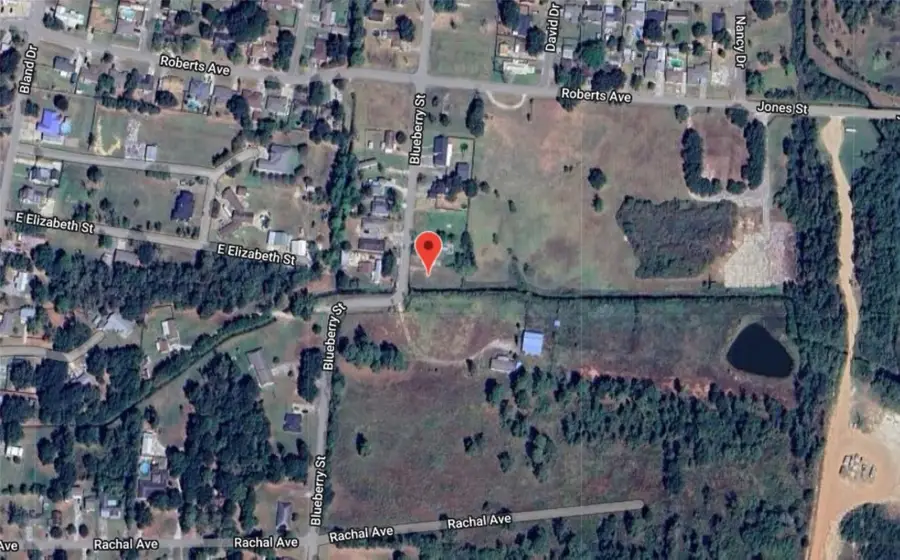 445 Blueberry Street, Bridge City, TX 77611 - Image #3