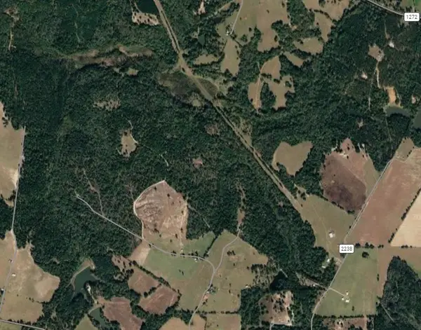 0 County Road 2235, Grapeland, TX 75844