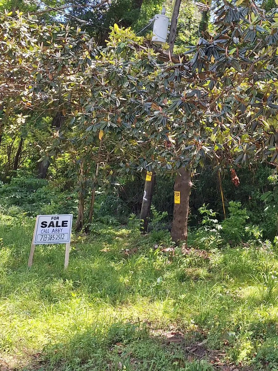 0 Woodland Lakes Drive, Shepherd, TX 77371 - #3