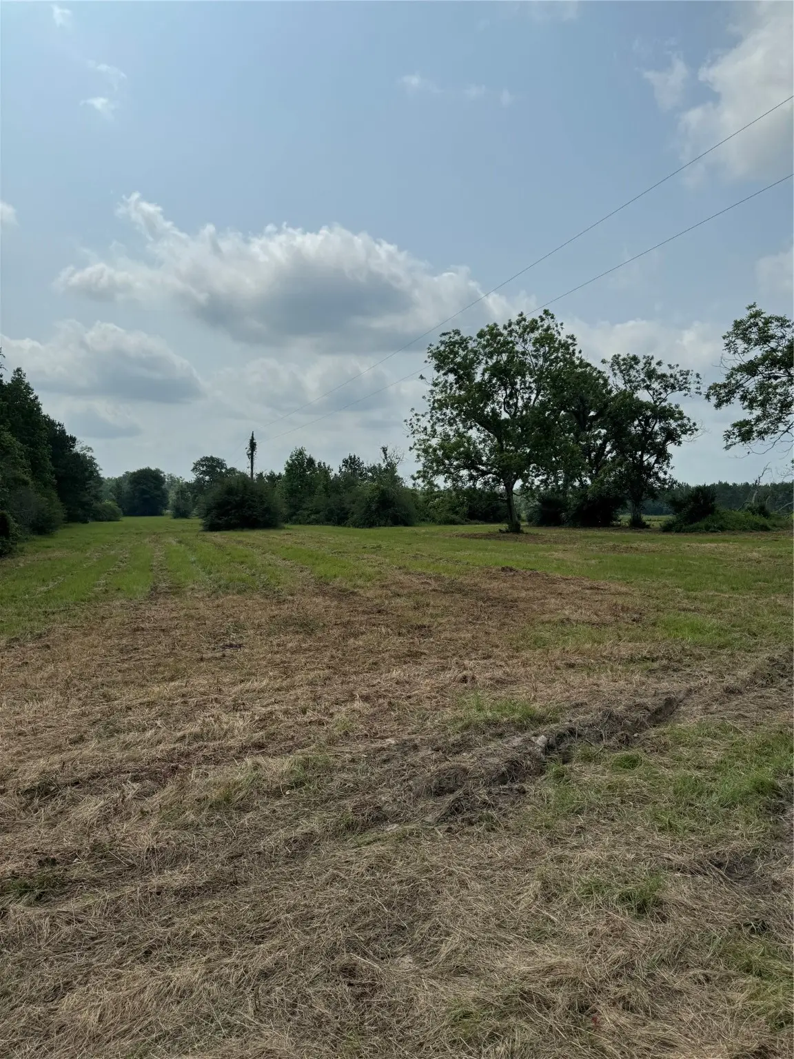 5698 Fm-2626, Newton, TX 75966 - Image #1