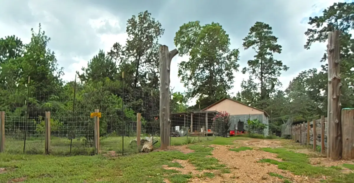 159 Greens Elbow, Livingston, TX 77351 - Image #1