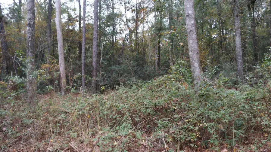 0 Mourning Dove, Coldspring, TX 77331 - Image #3