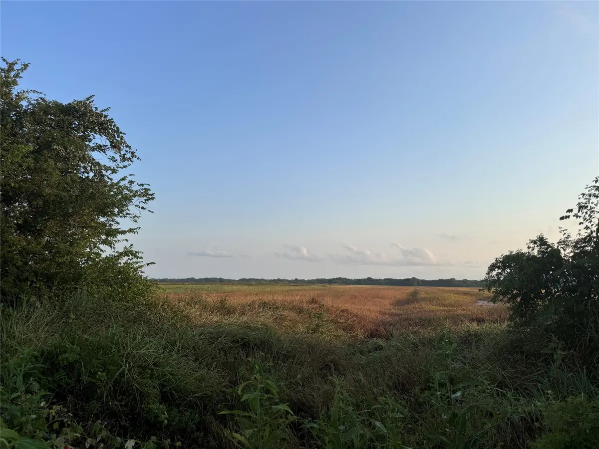 TBD Cr 343 Harter Road, Blessing, TX 77419 - Image #1