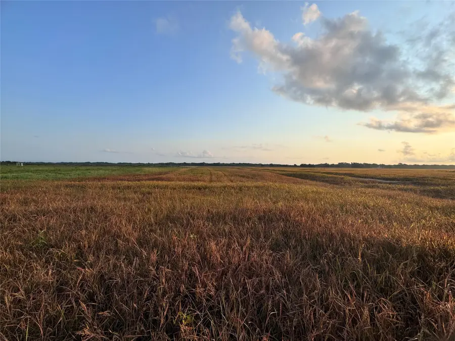 TBD Cr 343 Harter Road, Blessing, TX 77419 - Image #3