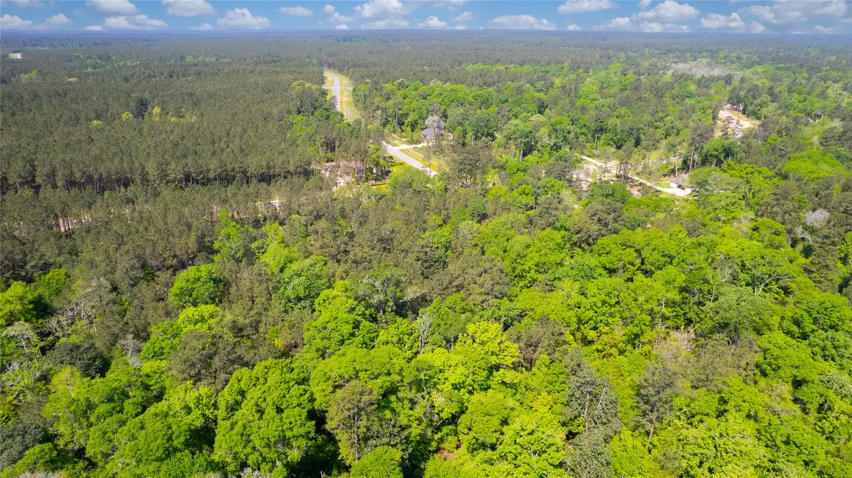 12868 Oak Barrel Road, Willis, TX 77378 - #1