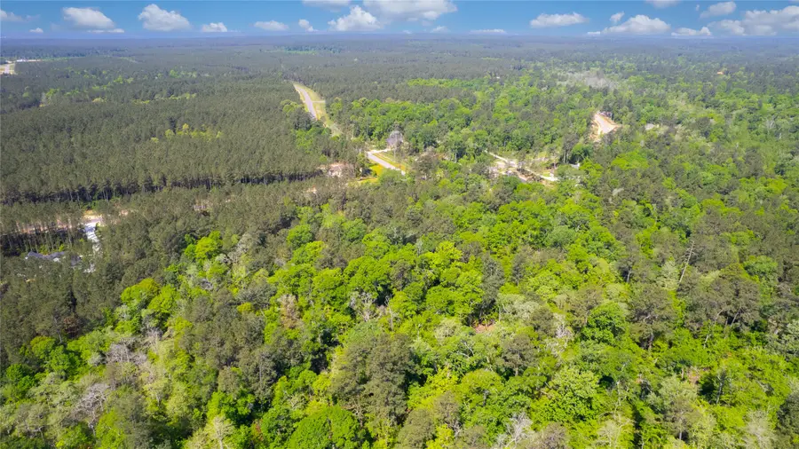 12868 Oak Barrel Road, Willis, TX 77378 - #3