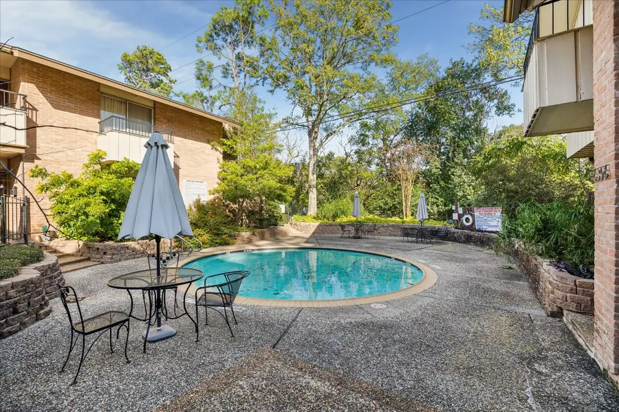 6304 Crab Orchard Road #6304, Houston, TX 77057 - #3