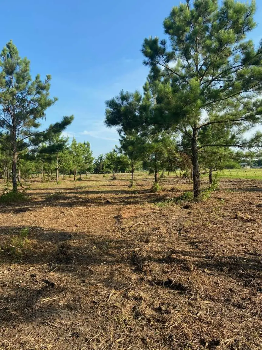 5510 County Road 602, Dayton, TX 77535 - #1