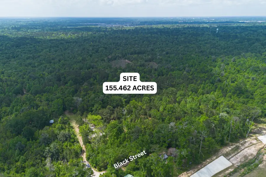 0 Black Street, Splendora, TX 77372 - #3