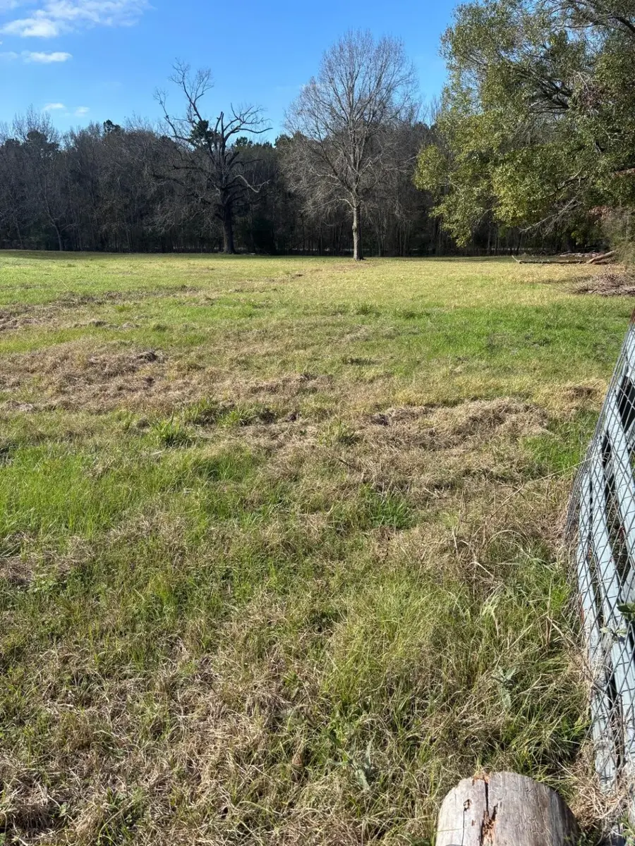 2956 Us Highway 59 S, Livingston, TX 77351-2194 - #3