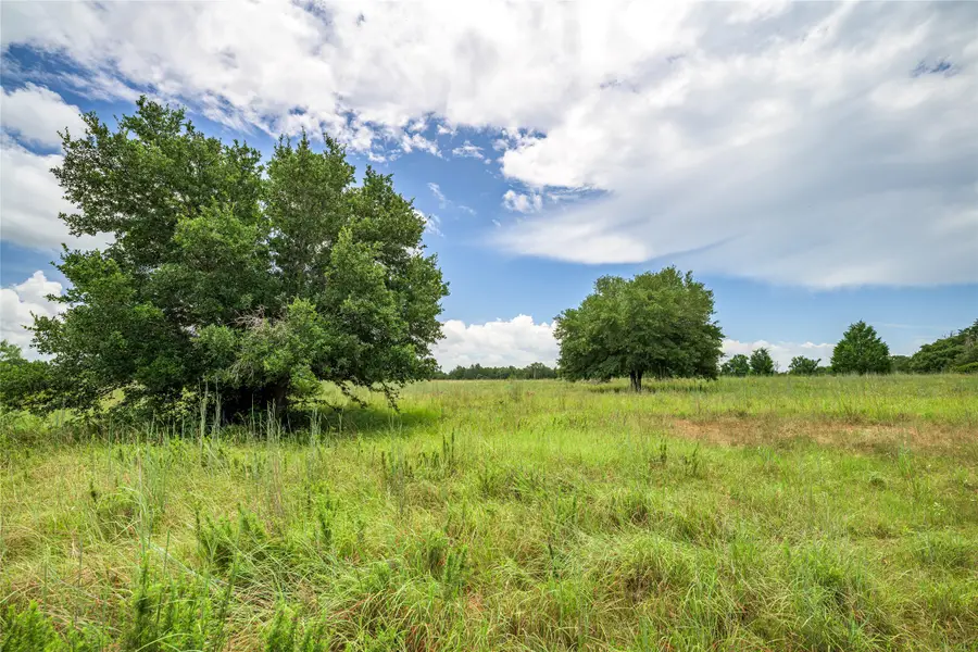 TBD Private Road 2904, Giddings, TX 78942 - Image #3