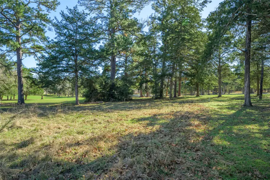 TBD North Falls Dr, New Ulm, TX 78950 - Image #3