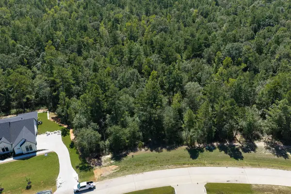 23721 Birch Grove Road, Montgomery, TX 77316