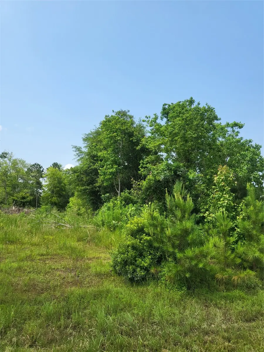 898 County Road 5003, Cleveland, TX 77327 - Image #3