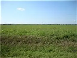 430 Sunset Trail, Angleton, TX 77515 - Image #2