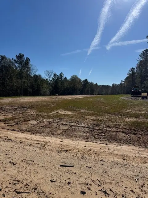 TBD Redhead Road, Livingston, TX 77351