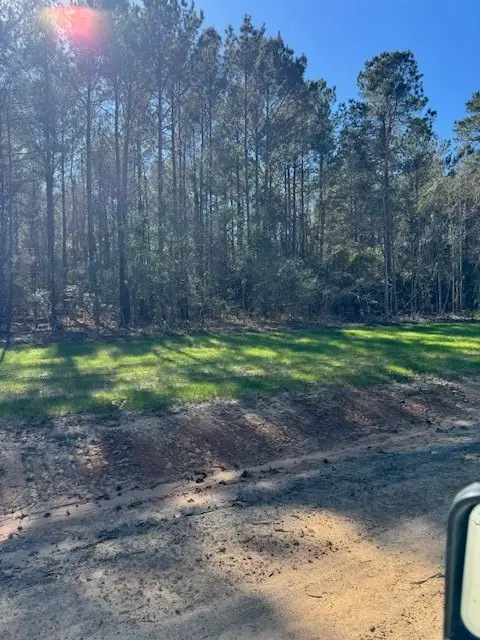 TBD Redhead Road, Livingston, TX 77351 - #2