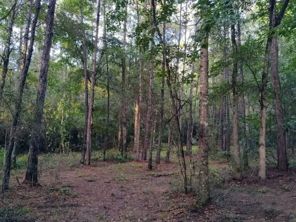 232 Texas Grand Road, Huntsville, TX 77340