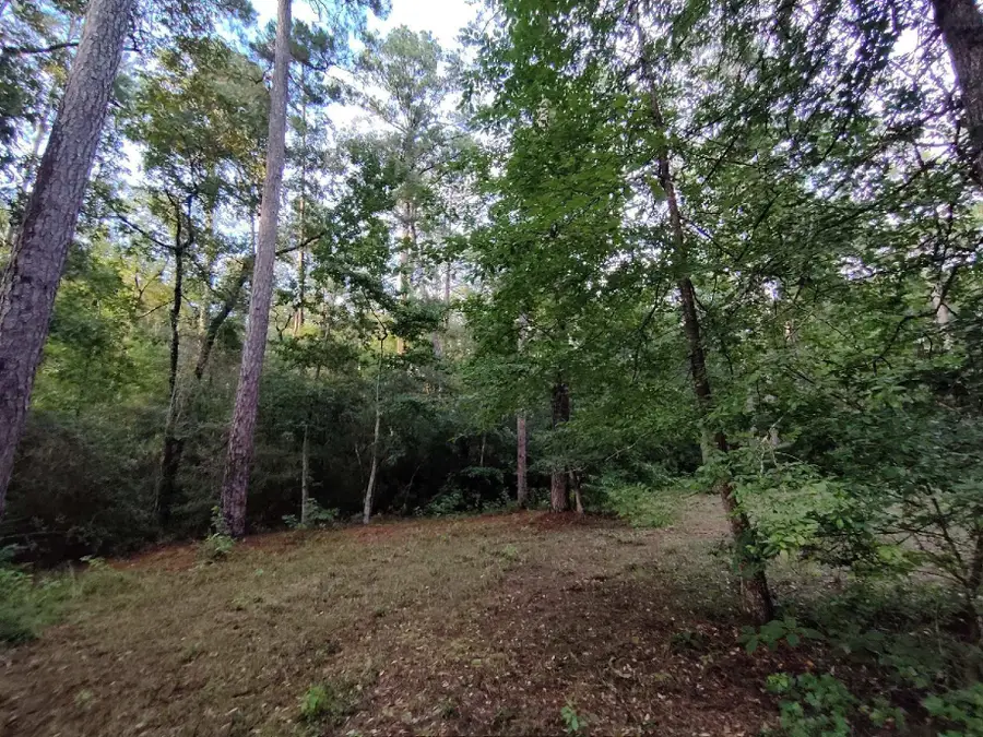 232 Texas Grand Road, Huntsville, TX 77340 - Image #3