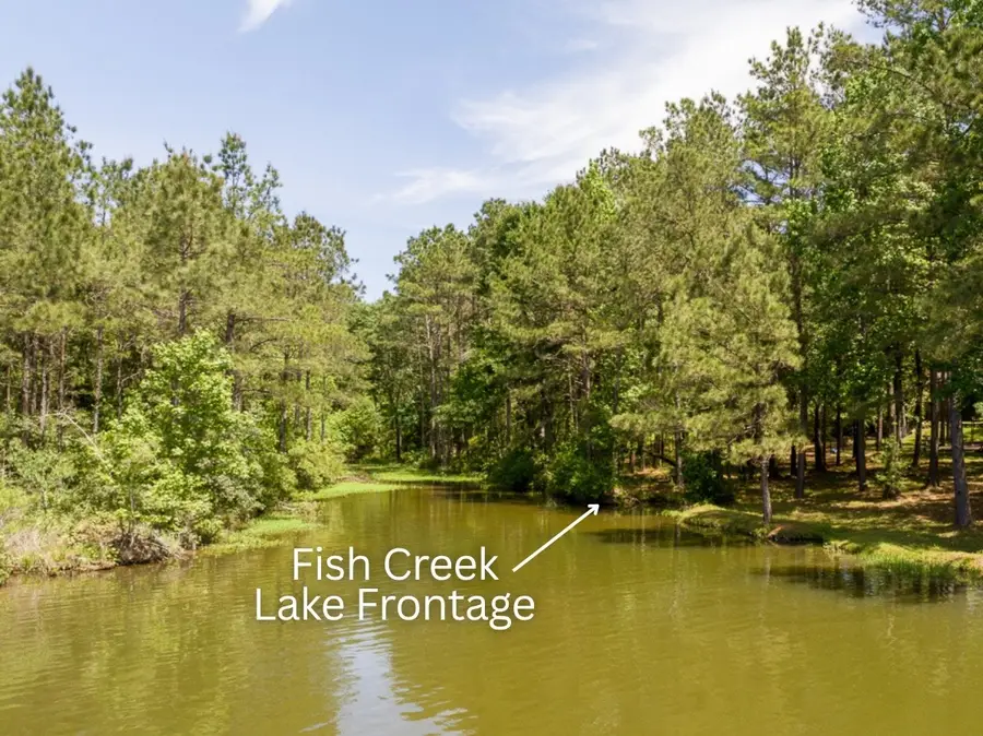120 Ebner Lake Front Drive, Montgomery, TX 77316 - #2