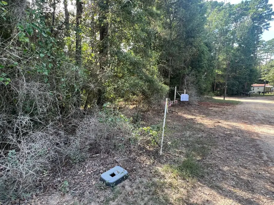 321 Holly Hill Road, Livingston, TX 77351 - #2