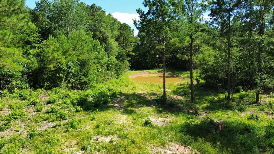 492 County Road 4872 -11, Timpson, TX 75975 - #2