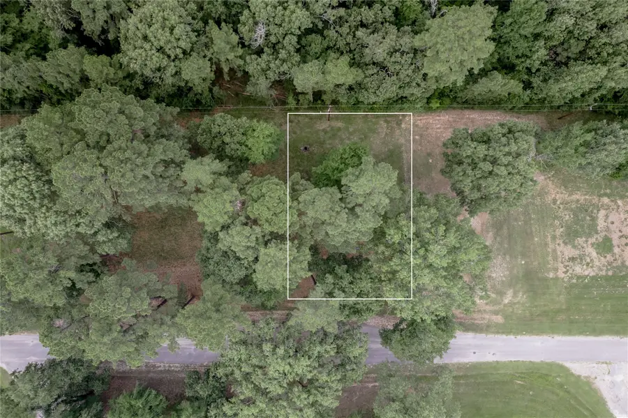 Lot 38 Peach Point Lane, Trinity, TX 75862 - Image #2