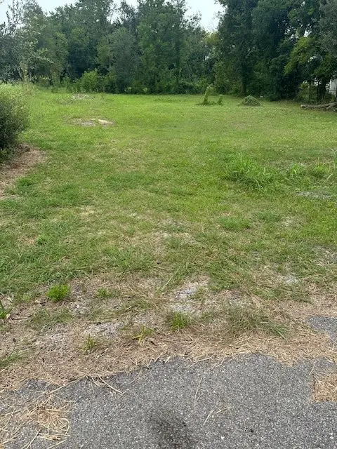 4419 Mayflower Street, Houston, TX 77051 - Image #2