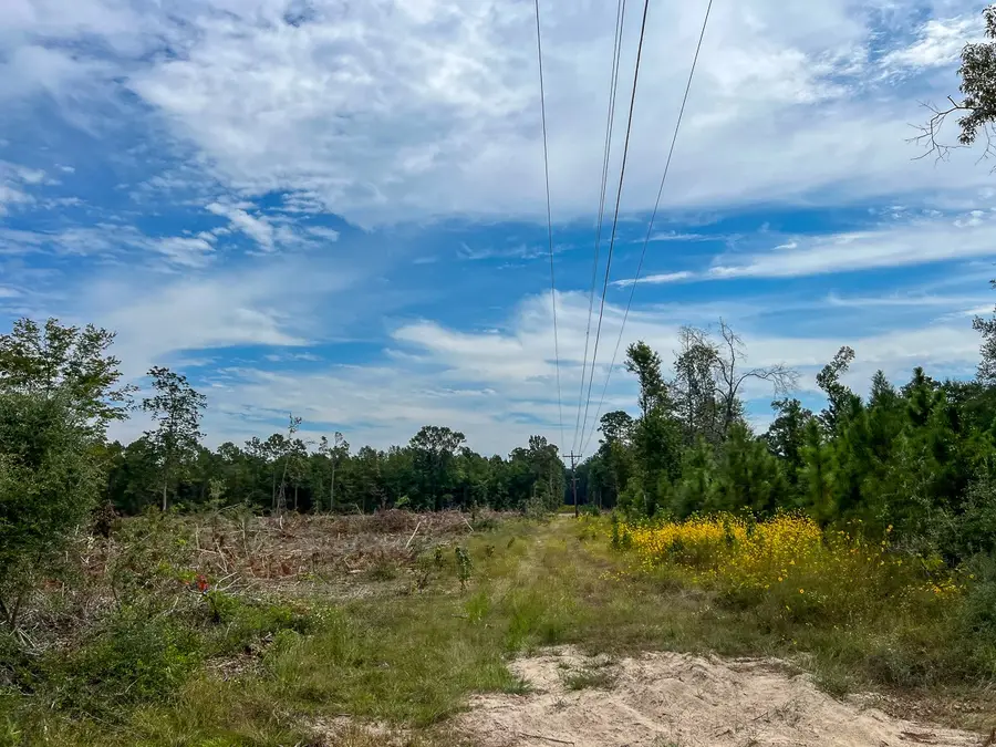 4 Fm 1416, Call, TX 75933 - Image #3