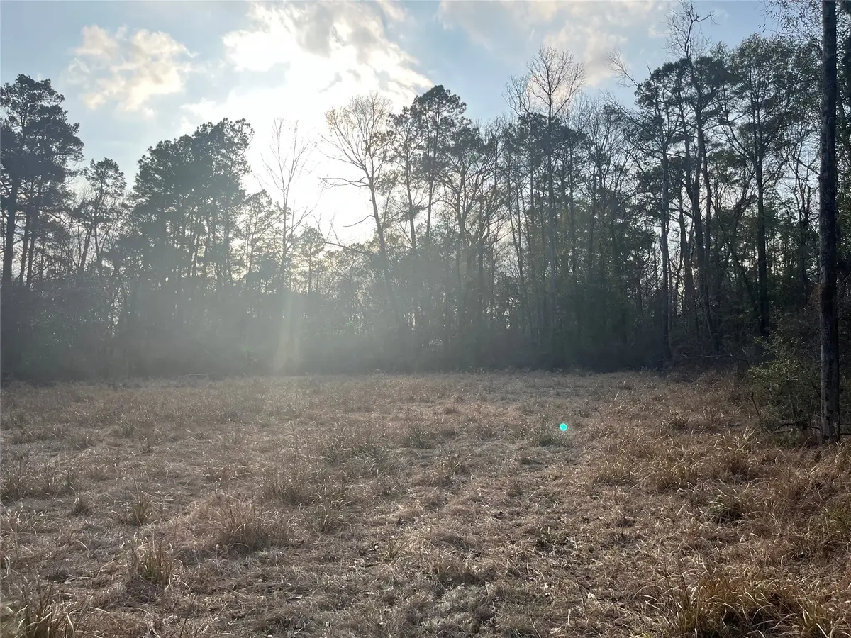 20962 Dipping Lane, New Caney, TX 77357 - #1