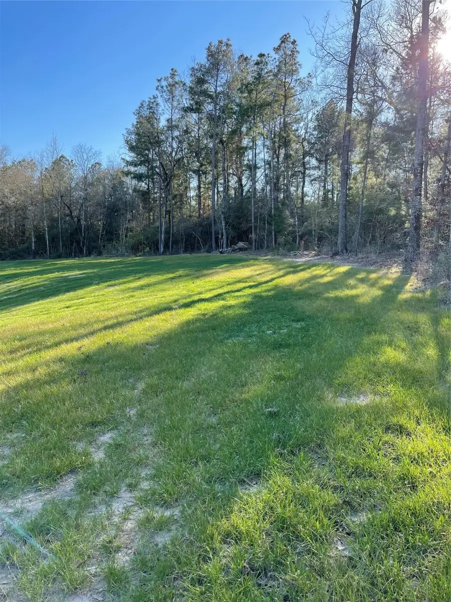 00 Saratoga Woods, Montgomery, TX 77316 - #3